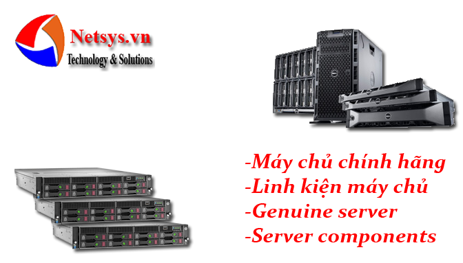 phân phối máy chủ server