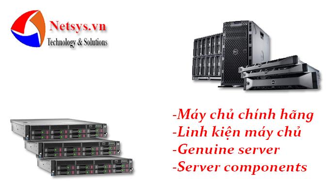 phân phối máy chủ server
